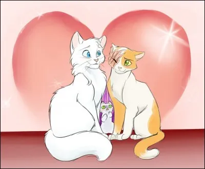 Tu vois un très beau chat/une très belle chatte qui passe devant toi. Tu...