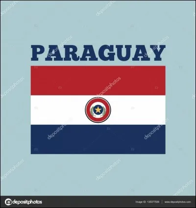 Et quels sont les deux ou trois autres pays limitrophes du Paraguay ?