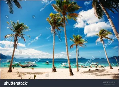 Les Philippines comptent [ ... ] îles.