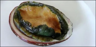 Quel est ce fruit de mer ?