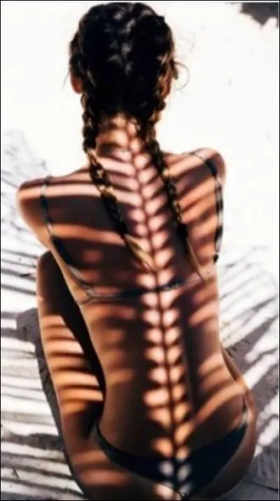 Quel est l'autre nom de la colonne vertébrale ?