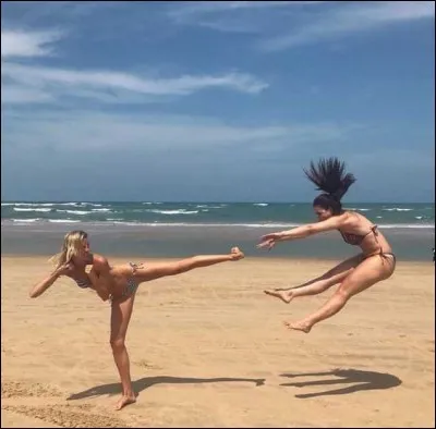 Quel animal complète le titre du film d'animation 'Kung Fu... ?