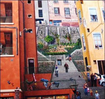 Dans quel arrondissement se situe la Croix-Rousse ?