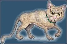 Quel est le nom de sa chatte ?