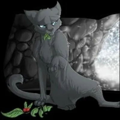 Ton compagnon se blesse et il est obligé de devenir guérisseur.