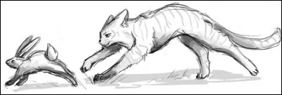 Tu préfères chasser...