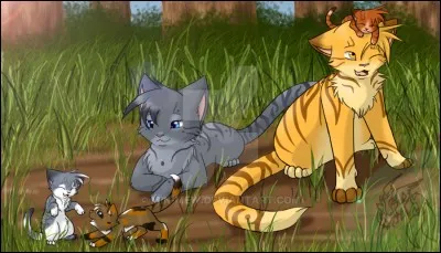 Tes chatons sont nés.