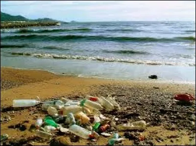 En mai 2018, quel objet a été retrouvé à plus de 10000 mètres de profondeur dans la fosse des Mariannes au large des Philippines, point le plus profond des océans, par des chercheurs japonais ?