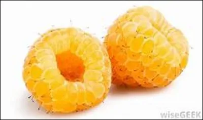 Quels sont ces fruits rouges ?