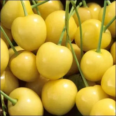 Quels sont ces fruits rouges ?