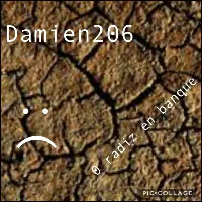 Damien était le deuxième à avoir remarqué que ses radiz ont disparu. Il voulait buzzer un de ses quizz de langue française. Combien de radiz faut-il pour buzzer un quiz en catégorie "Langue française" ?