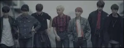 De quel clip est tirée cette image ?