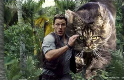 Si quelqu'un tente de te faire peur, que fais-tu ?