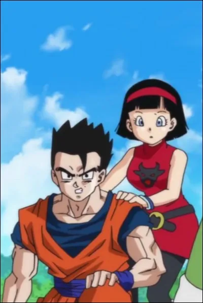 Quel est ce couple ?