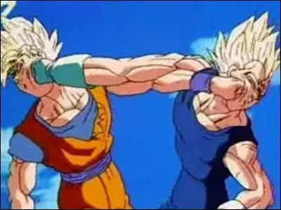 Quels sont les personnages qui disputent ce combat ?