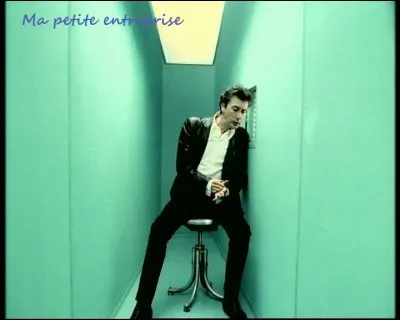 Que ne connait pas la 'petite entreprise' de Bashung ?