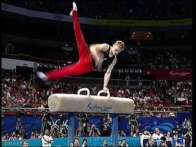 Dans quelle discipline sportive masculine utilise-t-on cet agrès ?