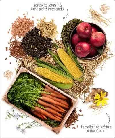 Que mange le cheval ?