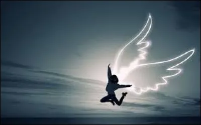 La vie, &ccedil;a sert &agrave;...