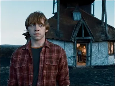 Quel est le métier de Charlie le frère de Ron ?