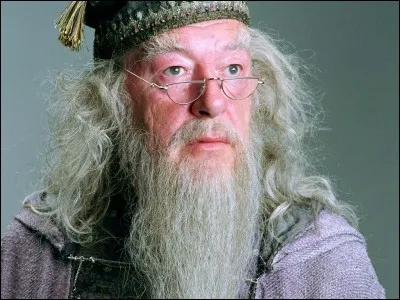 Comment se nomme le frère d'Albus Dumbledore ?