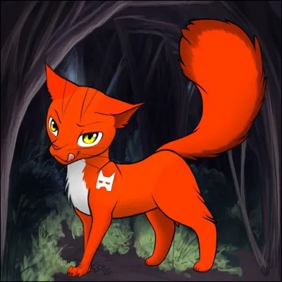 Votre compagnon/compagne est décrit(e) comme...