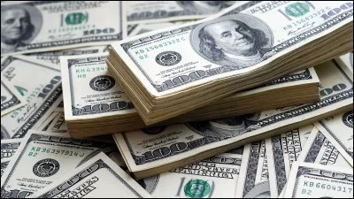 Quel pays n'utilise pas le dollar ?