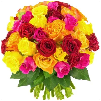 Quelles sont ces fleurs ?