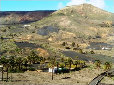 Laquelle de ces affirmations quant au métier de guide culturel est fausse ?