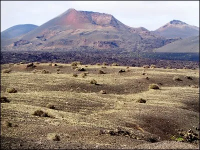 Quel diplôme est nécessaire pour pouvoir exercer le métier de guide culturel ?