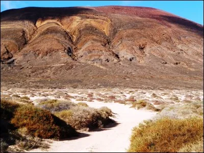 Quel est le statut du guide culturel au sens du droit du travail ?