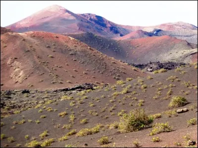 En quelle année les premières formations universitaires officielles de guide culturel ont-elles été créées ?