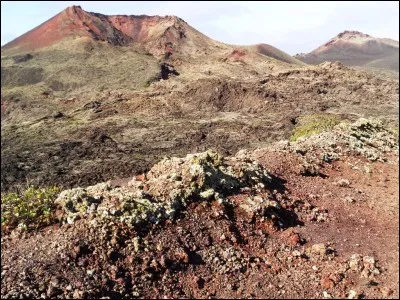 De quelles connaissances et compétences un guide culturel doit-il disposer pour exercer au mieux son métier ?