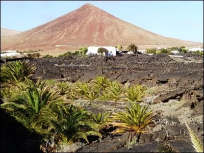 Le diplôme de guide culturel est-il requis pour accompagner et guider un groupe de touristes dans le cadre d'un circuit organisé d'une semaine en autocar ?