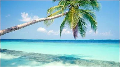 Mistinguette part en vacances dans le sud, mais où exactement ?