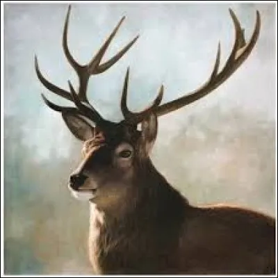 Comment appelle-t-on le bruit qu'émet le cerf ? (3 réponses possibles)