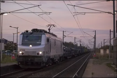 Quel(le) est l'ancêtre du train ?