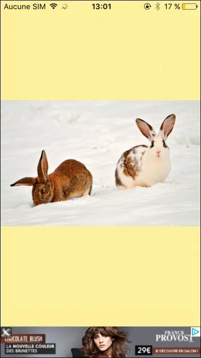 Quelle est la longévité moyenne d'un lapin ?