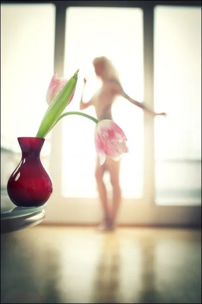 De quel pays 'le chardon' est-il l'emblème ?