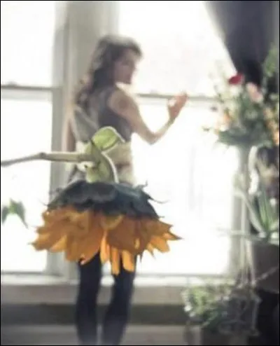 Quel peintre est l'auteur de sept tableaux de tournesols ?