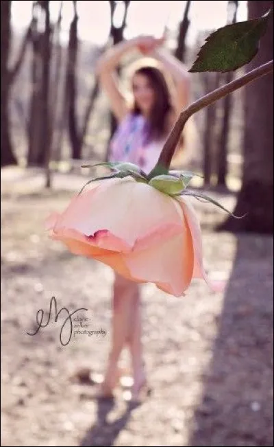 De quel souverain dit-on qu'il avait la barbe fleurie ?