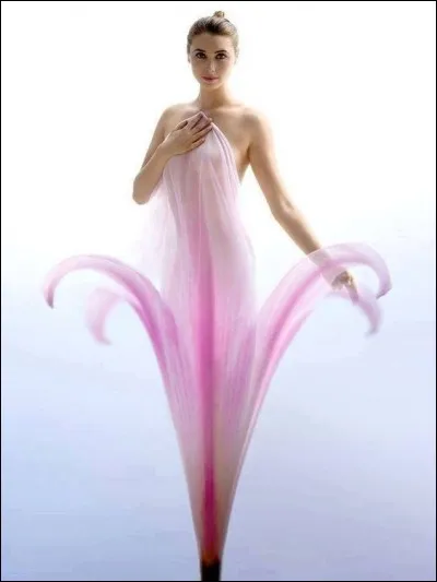 Enfin, qui chante 'Le pouvoir des fleurs' ?