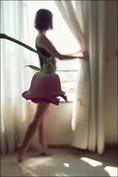 Quel poète est l'auteur du poème 'Mignonne allons voir si la rose' ?