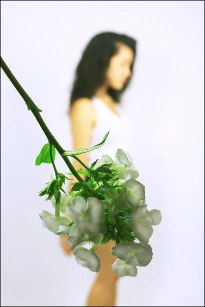 Quelle fleur symbolise le Japon à l'international et fait même l'objet de cadeau diplomatique ?