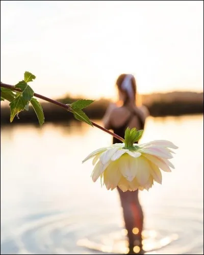 À quel ingrédient culinaire peut-on accoler le mot 'fleur' ?