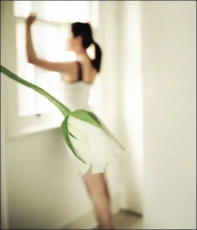 Que animal est 'Fleur' dans Bambi ?