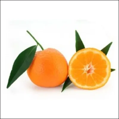 Quel est cet agrume ?