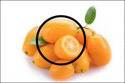 Quel est cet agrume ?