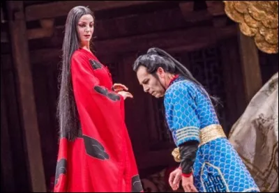 Dans ''Turandot'' de Puccini, un myst&eacute;rieux inconnu accepte de risquer sa vie pour conqu&eacute;rir la cruelle princesse. C'est en fait un prince...