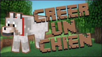 Comment peut-on adopter un loup dans « Minecraft » ?